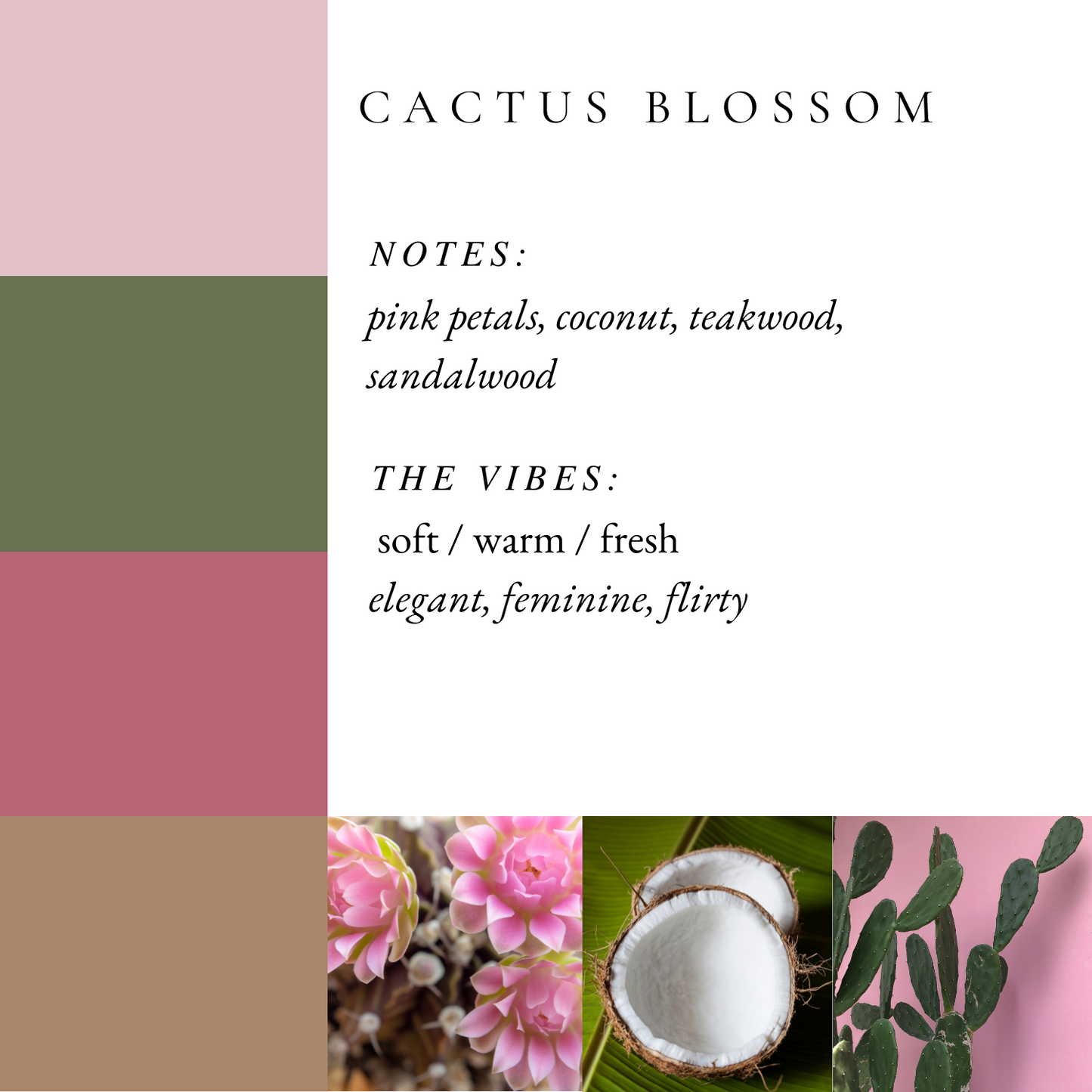 Cactus Blossom